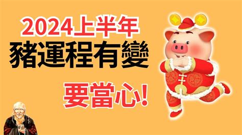 屬豬幸運色2024|【2024 屬豬】屬豬2024好運接踵而來！運勢、幸運色、財位、禁。